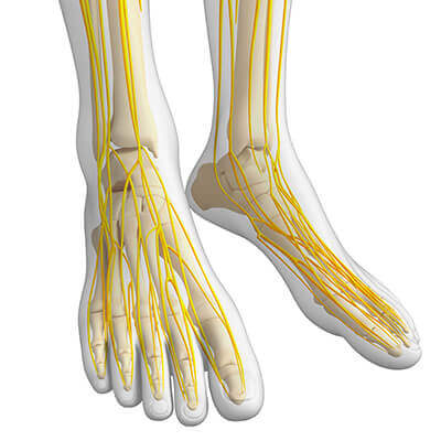 calcaneal nerve entrapment diagram